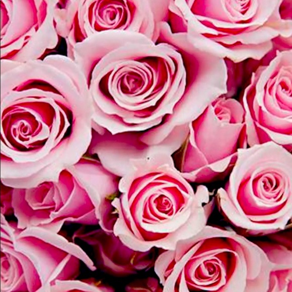 Meet your Posher, Angie - Picture 1 of 1